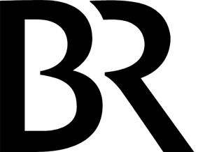 logo BR diversity