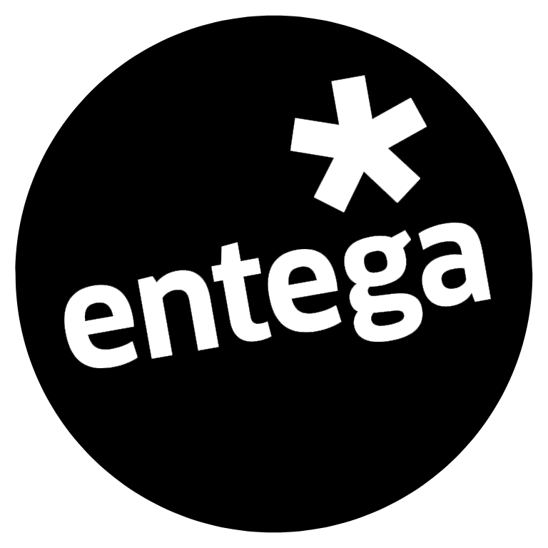 logo entega diversity 1