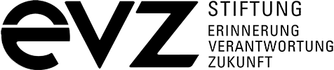 logo evz diversity