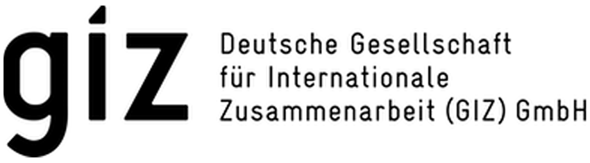 logo giz diversity