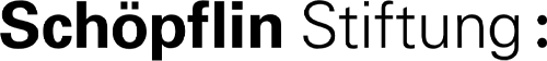 logo schoepflin stiftung diversity