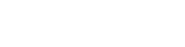 logo IQ Netzwerk inv