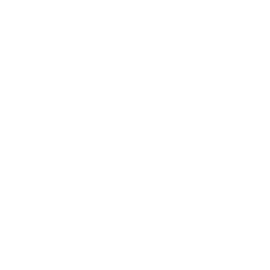logo Lidl inv