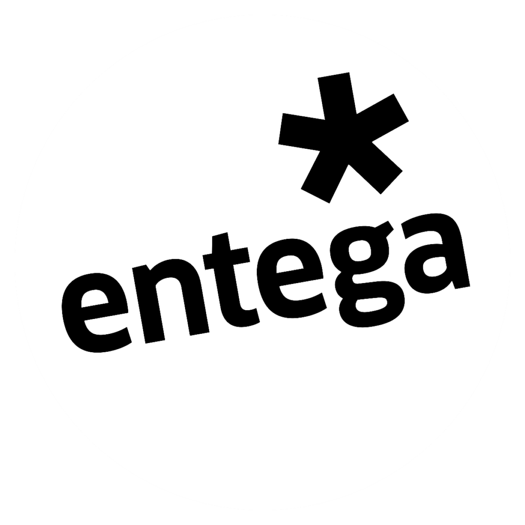 logo entega inv