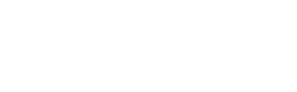 logo evz inv